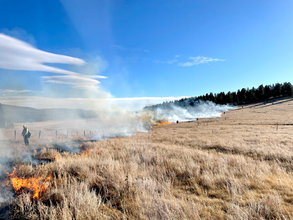 Co-Existing: Fire Shaping The Landscape - Questa News