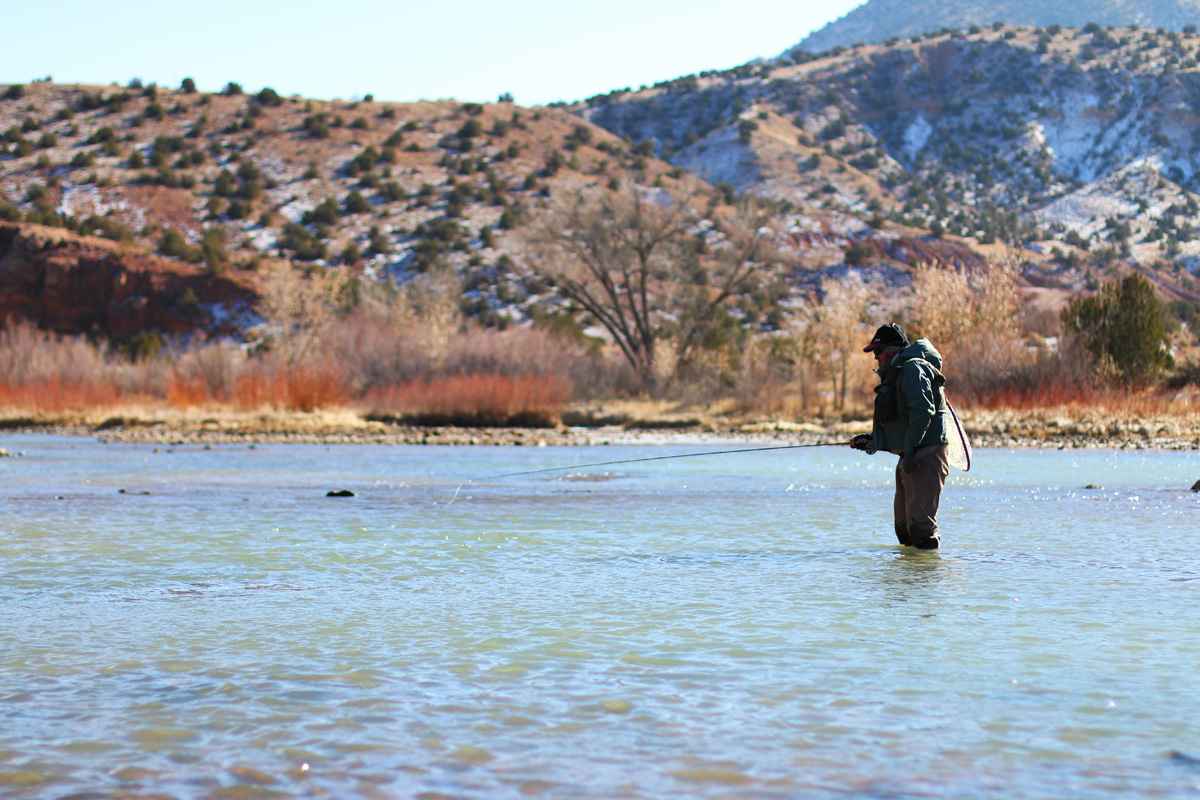 Trout Unlimited In Fishing, Water Temperature Matters Questa News